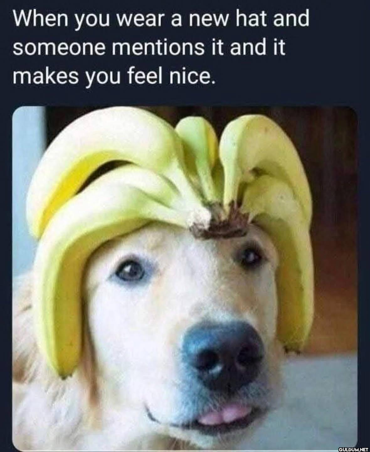 When you wear a new hat...