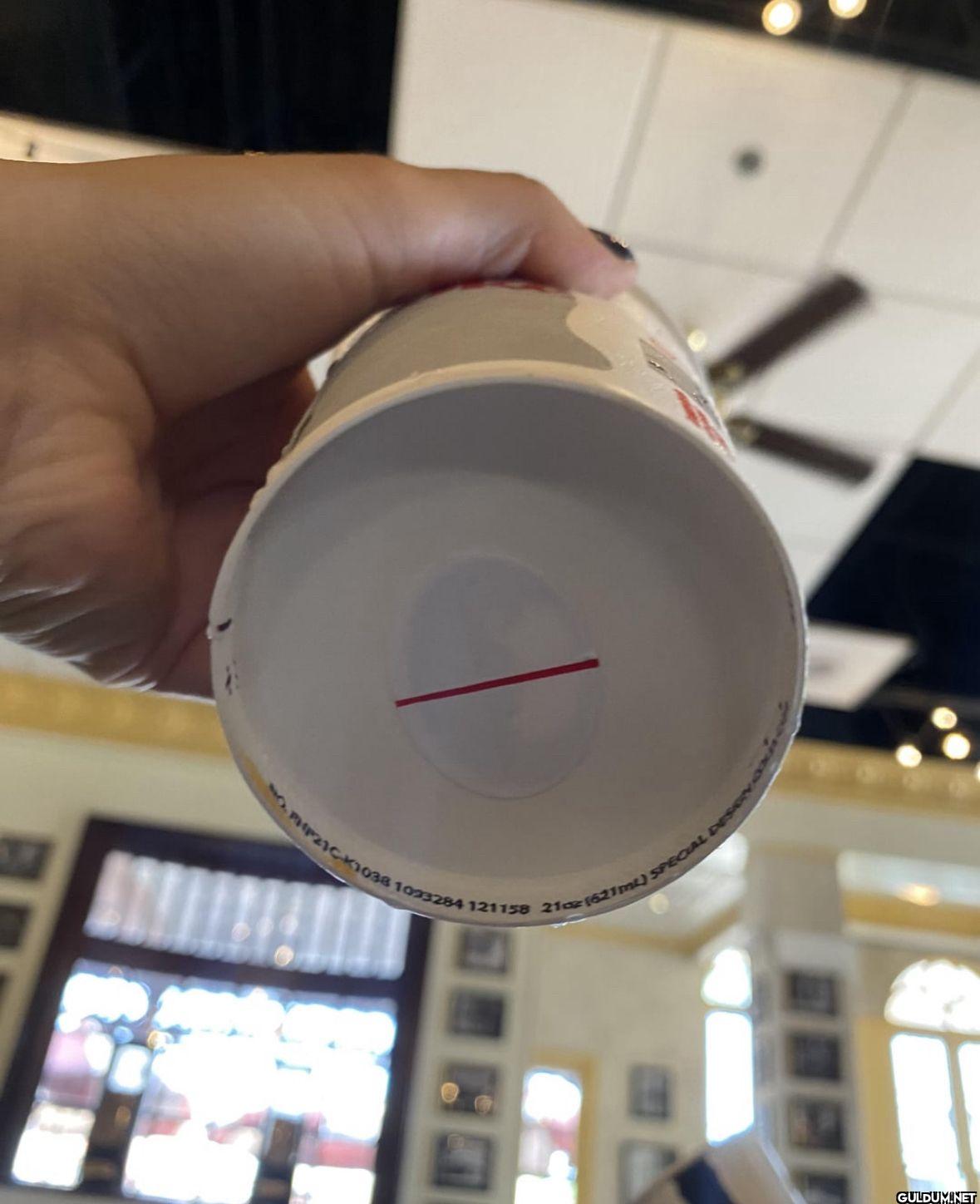 This cup at universal...