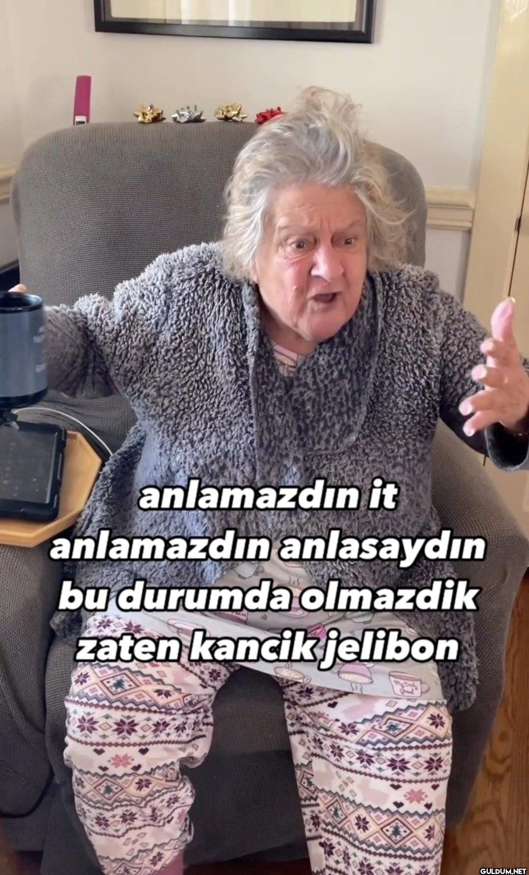 anlamazdın it anlamazdın...