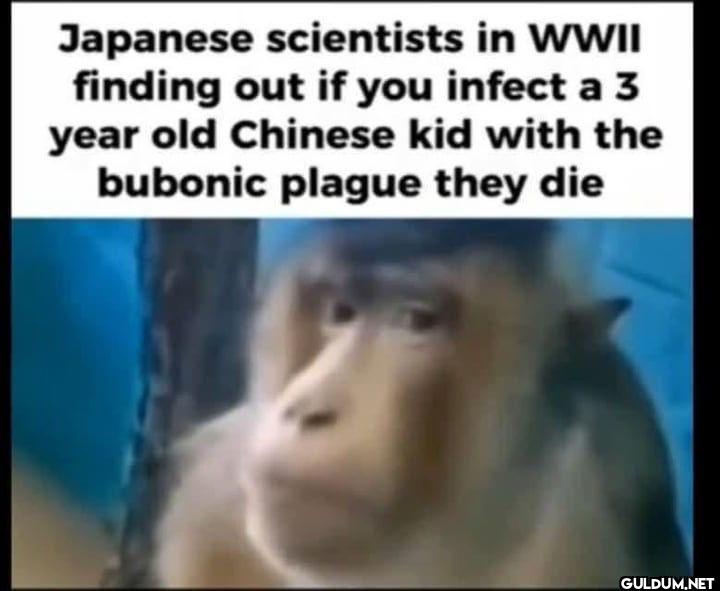 Japanese scientists in...