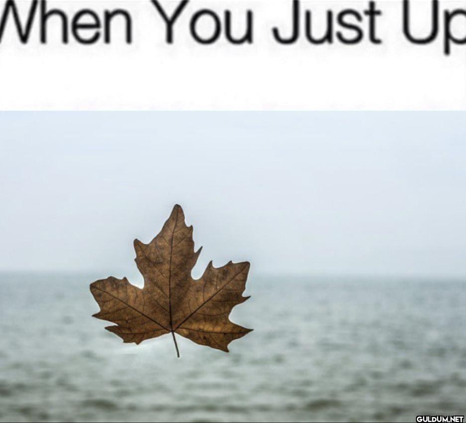 When You Just Up