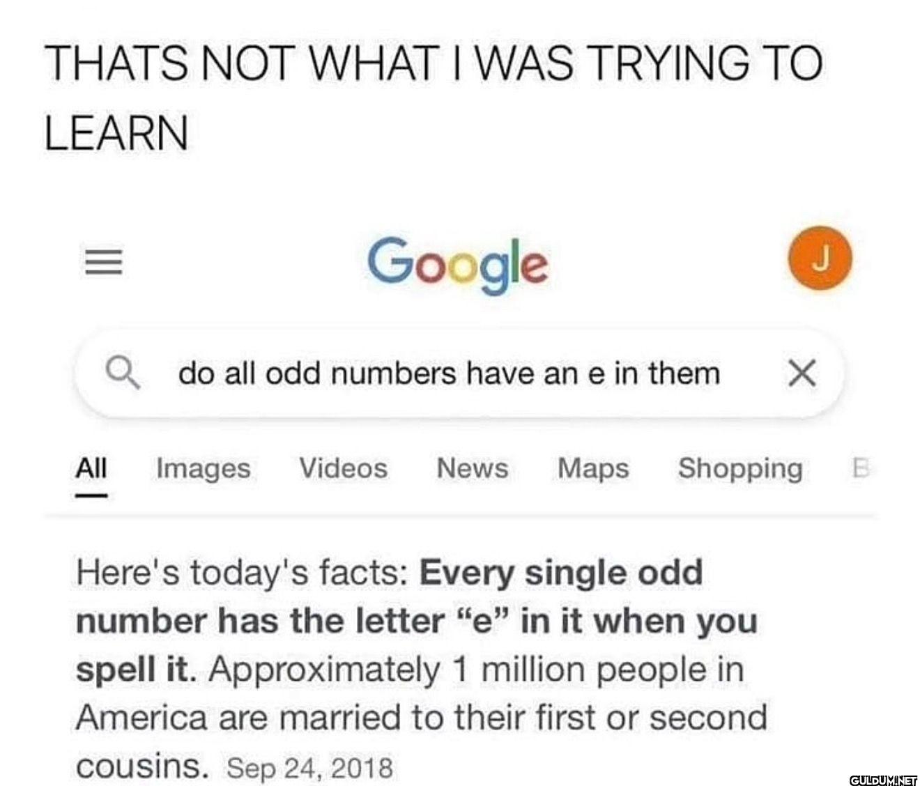 THATS NOT WHAT I WAS...