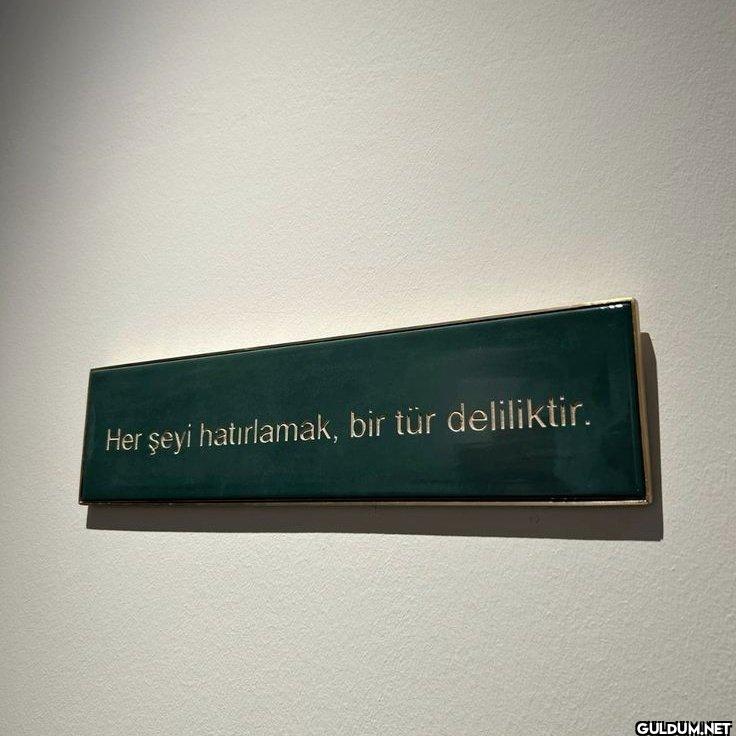 Her şeyi hatırlamak, bir...