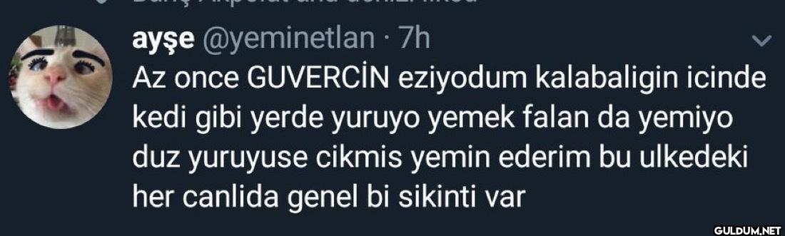 - 7h Az once GUVERCİN...