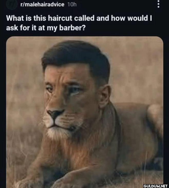 10h What is this haircut...