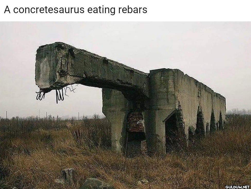 A concretesaurus eating rebars