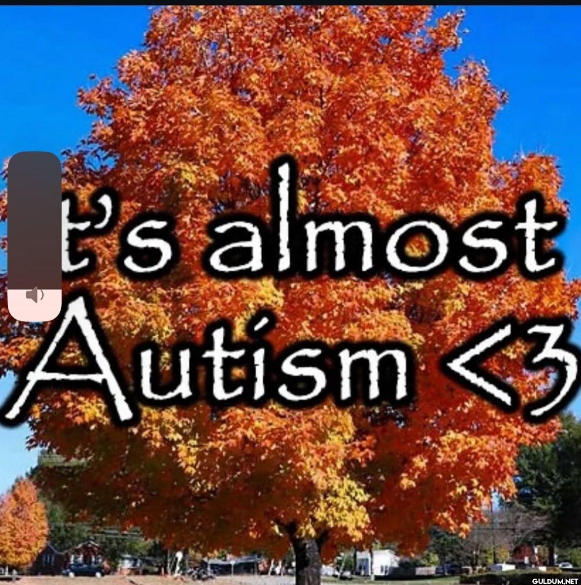 it's almost Autism 3