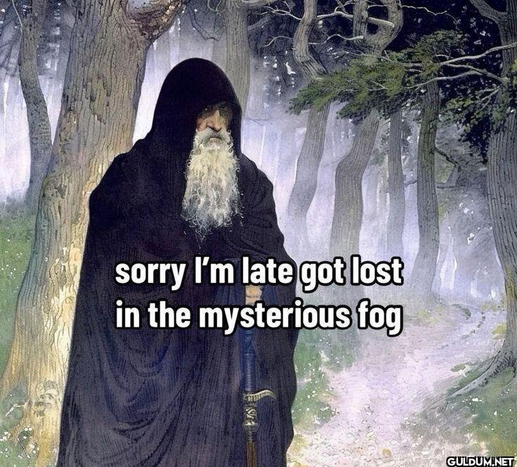 sorry I'm late got lost in...