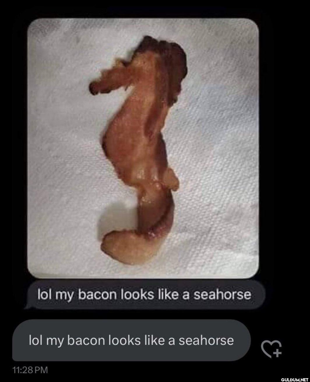 lol my bacon looks like a...