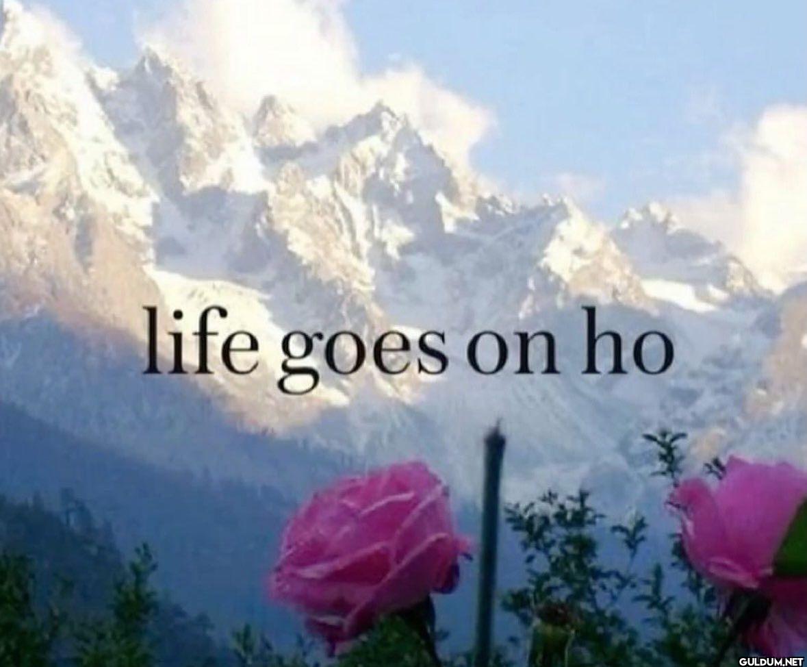 life goes on ho