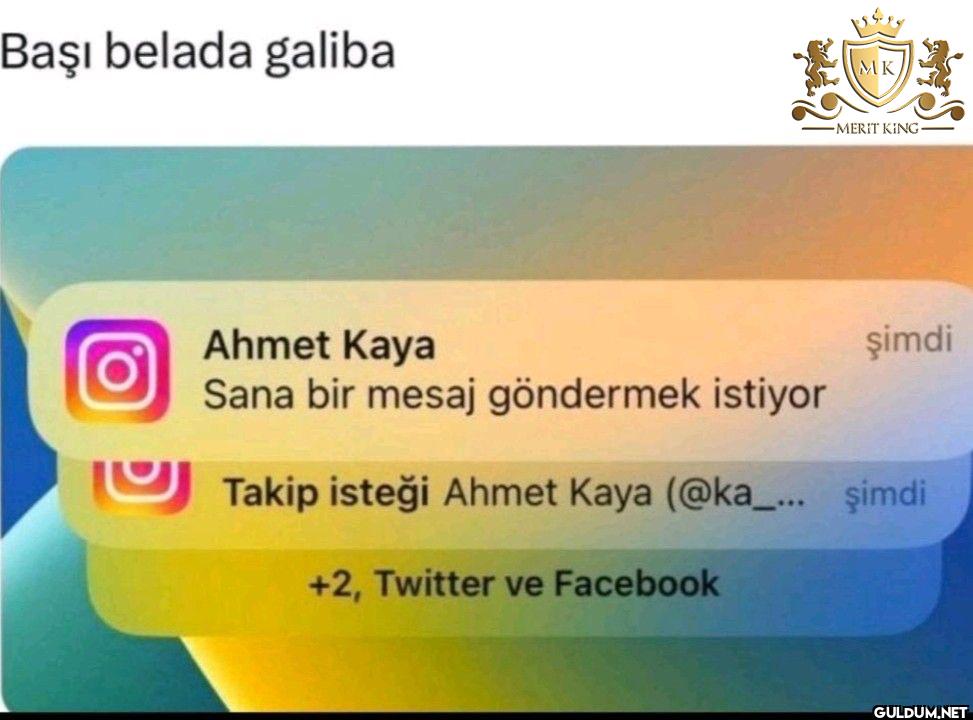 Başı belada galiba MK...