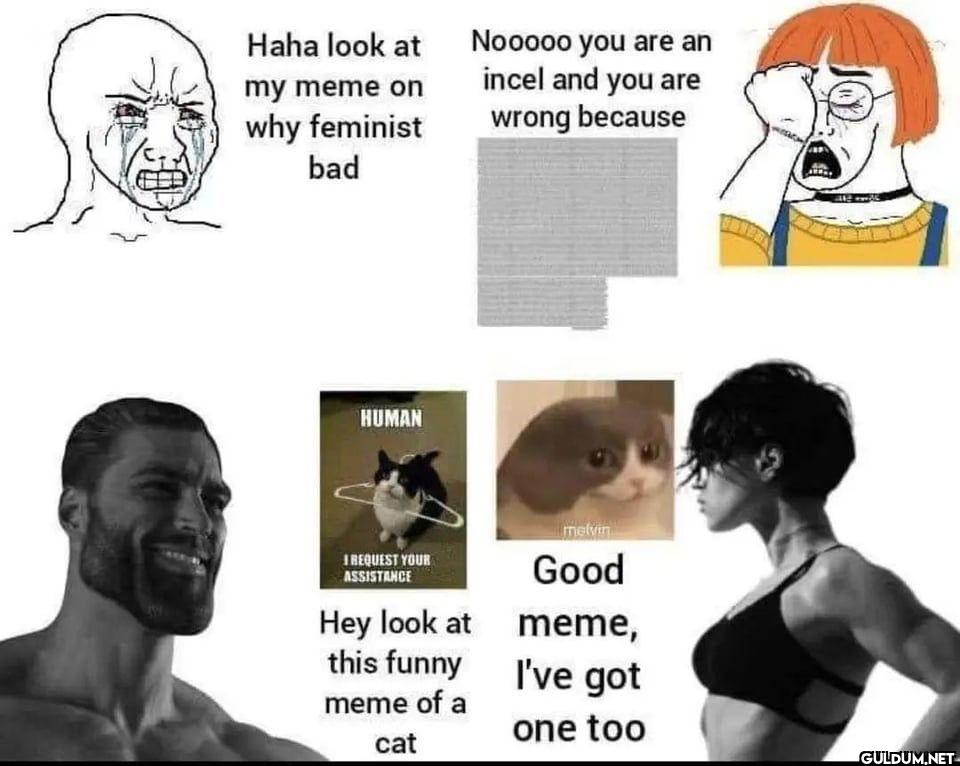 Haha look at my meme on...
