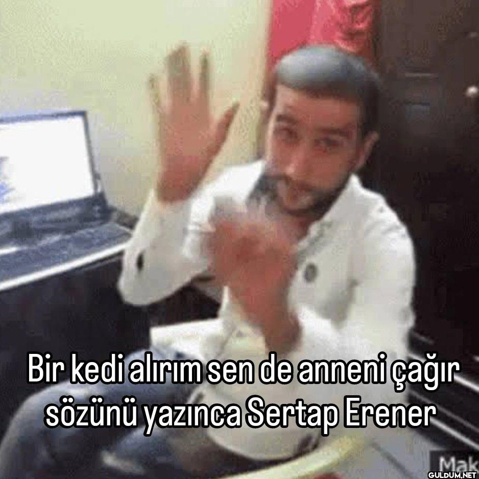 Bir kedi alırım sen de...