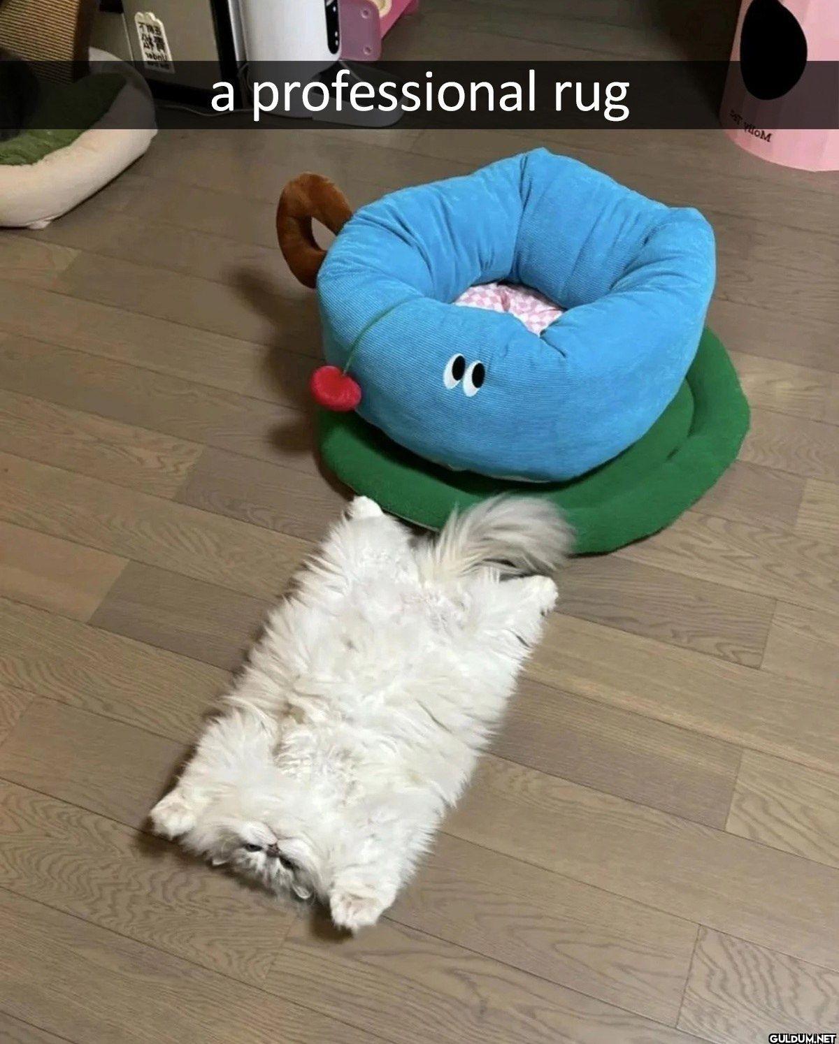 EL a professional rug DST HOM 22