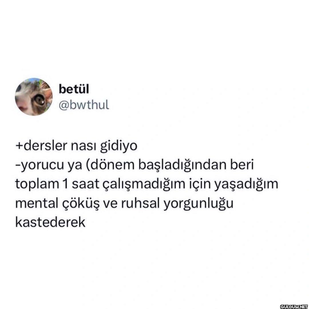 +dersler nası gidiyo...
