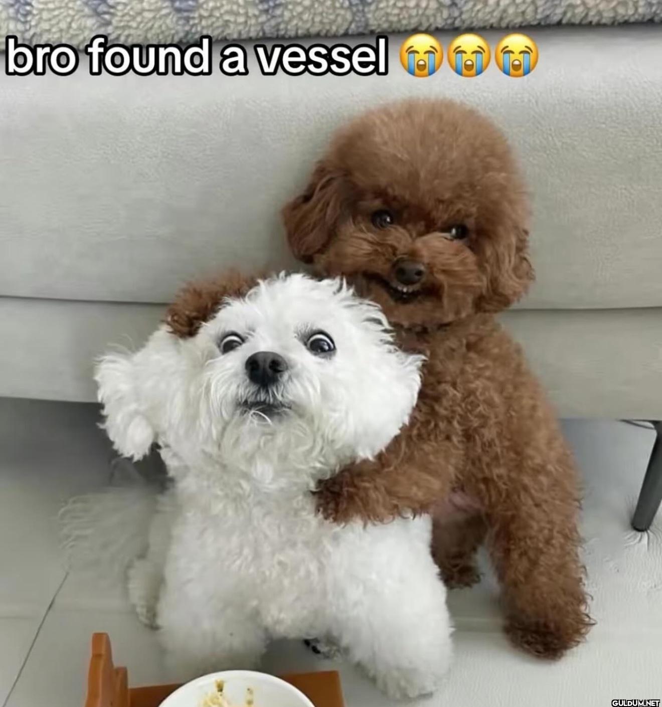 bro found a vessel to t