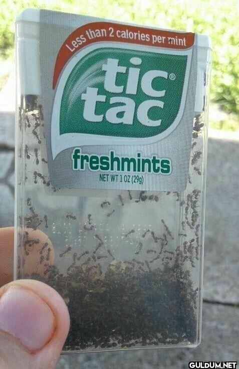Less than 2 calories per...