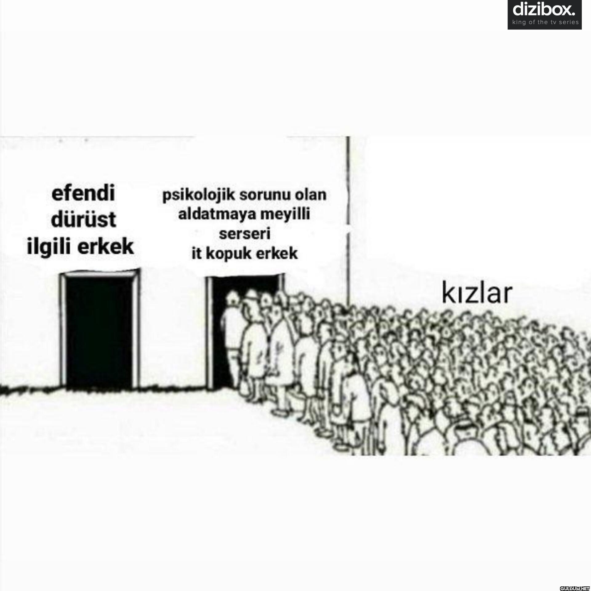 efendi dürüst ilgili erkek...