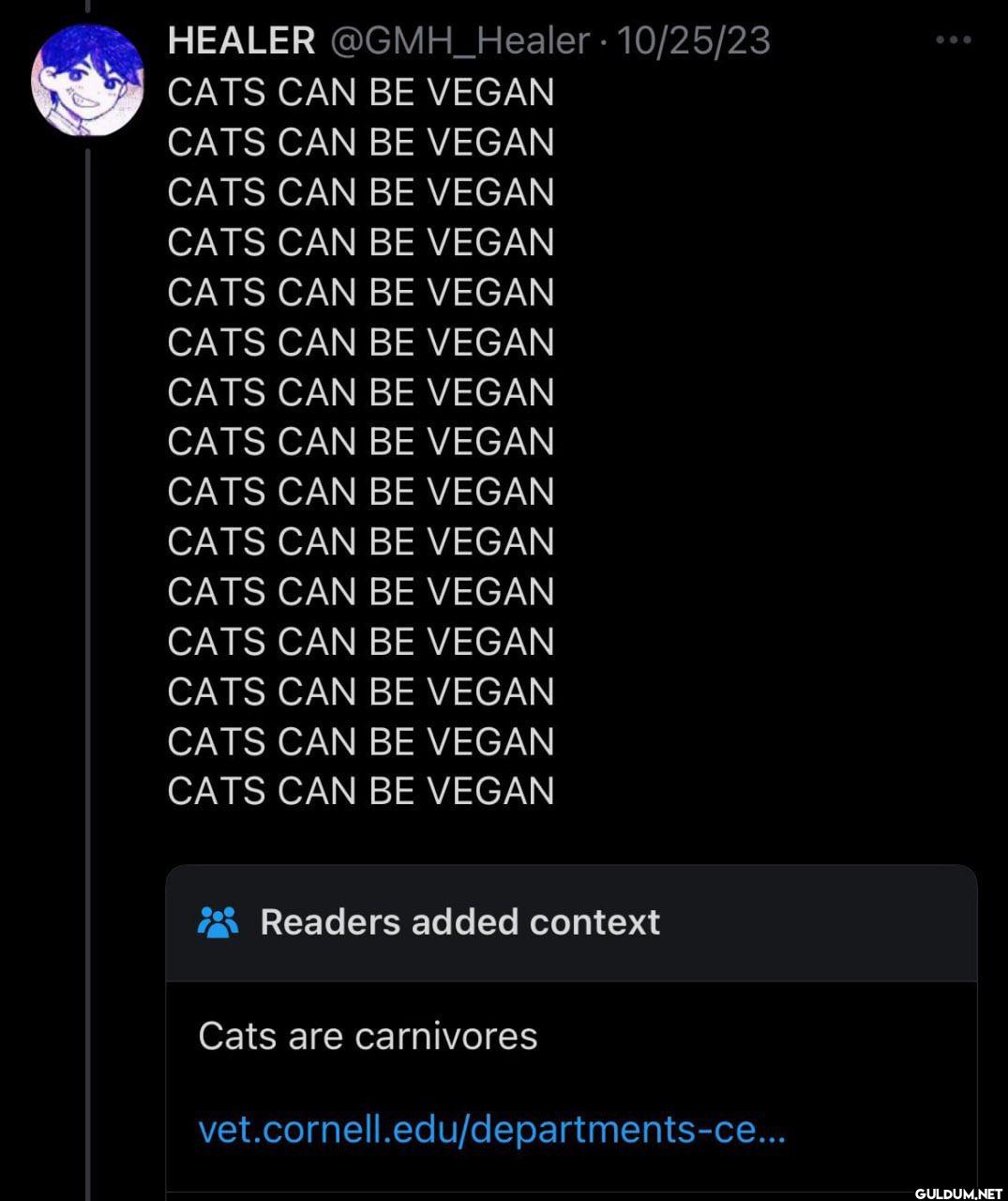 10/25/23 • CATS CAN BE...