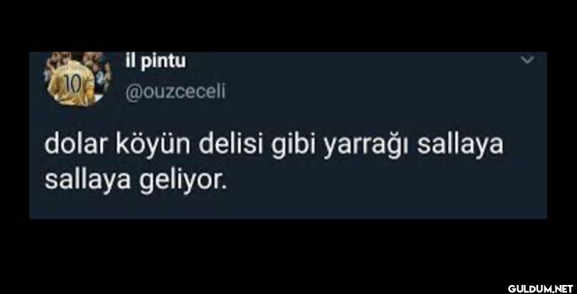 dolar köyün delisi gibi...