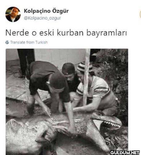 Nerde o eski kurban...