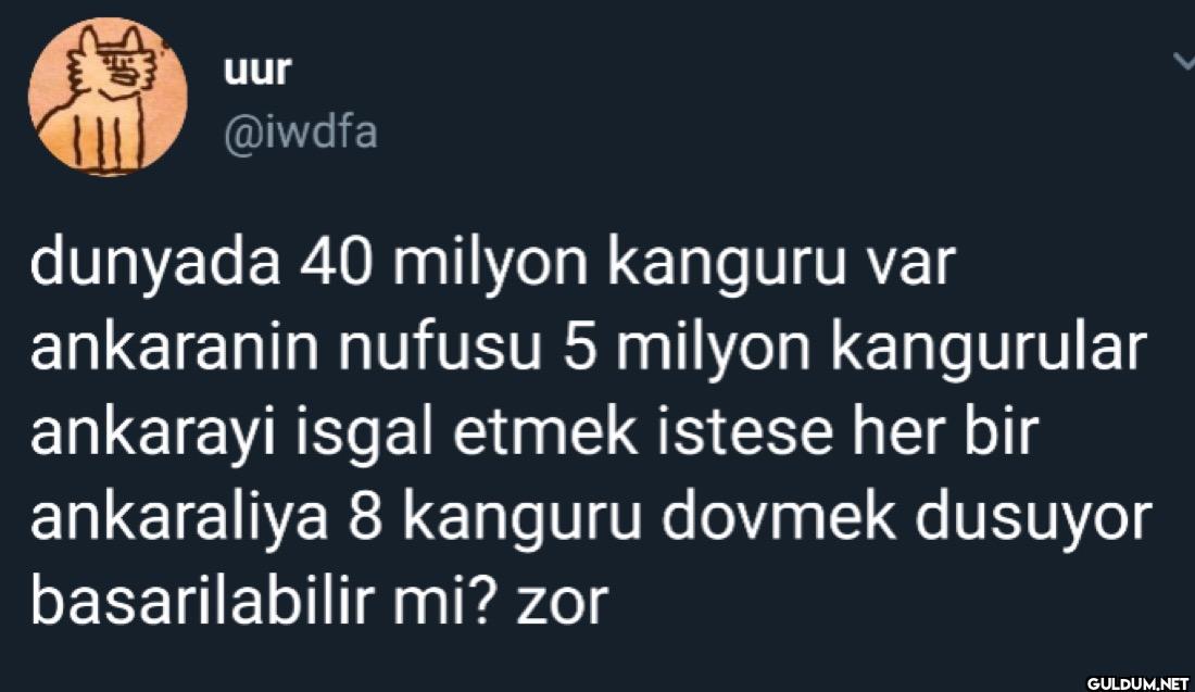 dunyada 40 milyon kanguru...