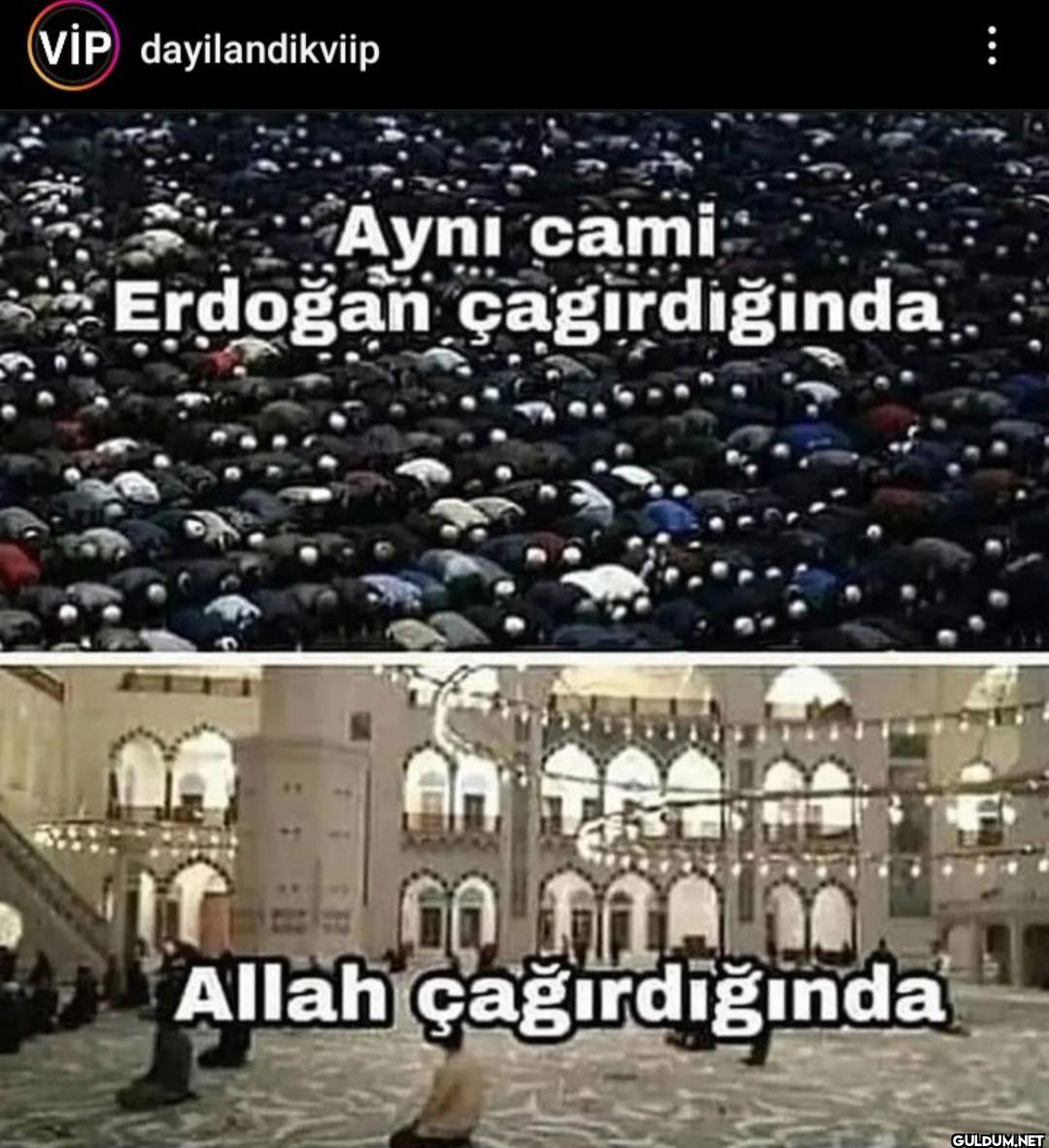 VIP dayilandikviip Aynı...