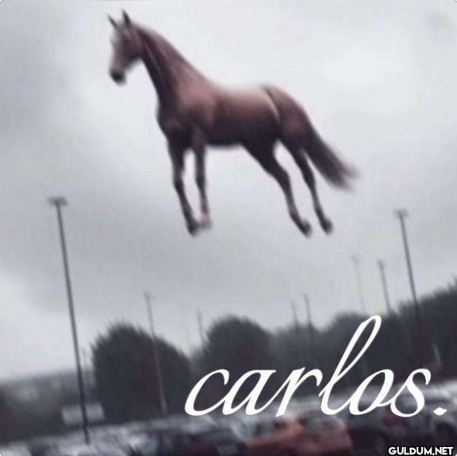 carlos.