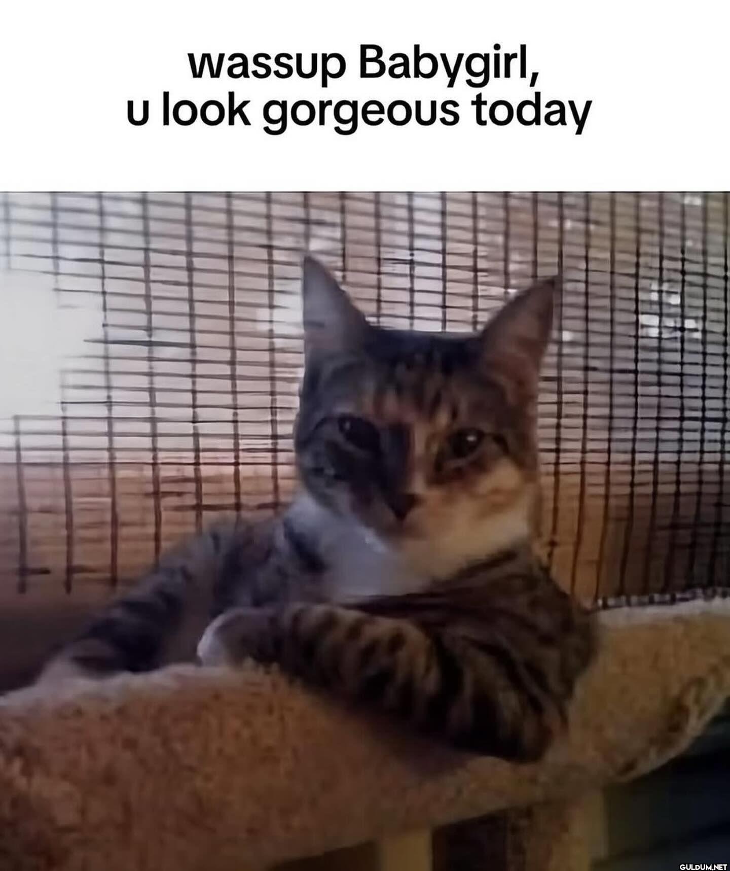 wassup Babygirl, u look...