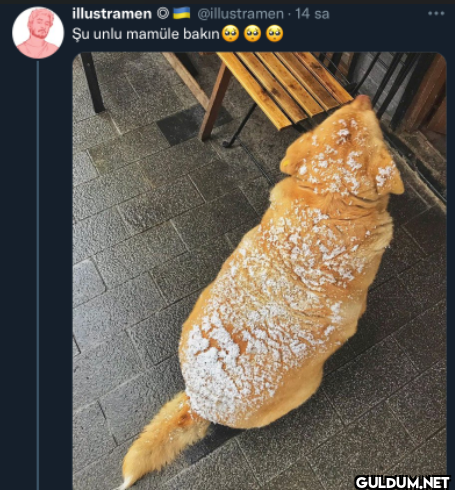 @illustramen 14 sa Şu unlu...