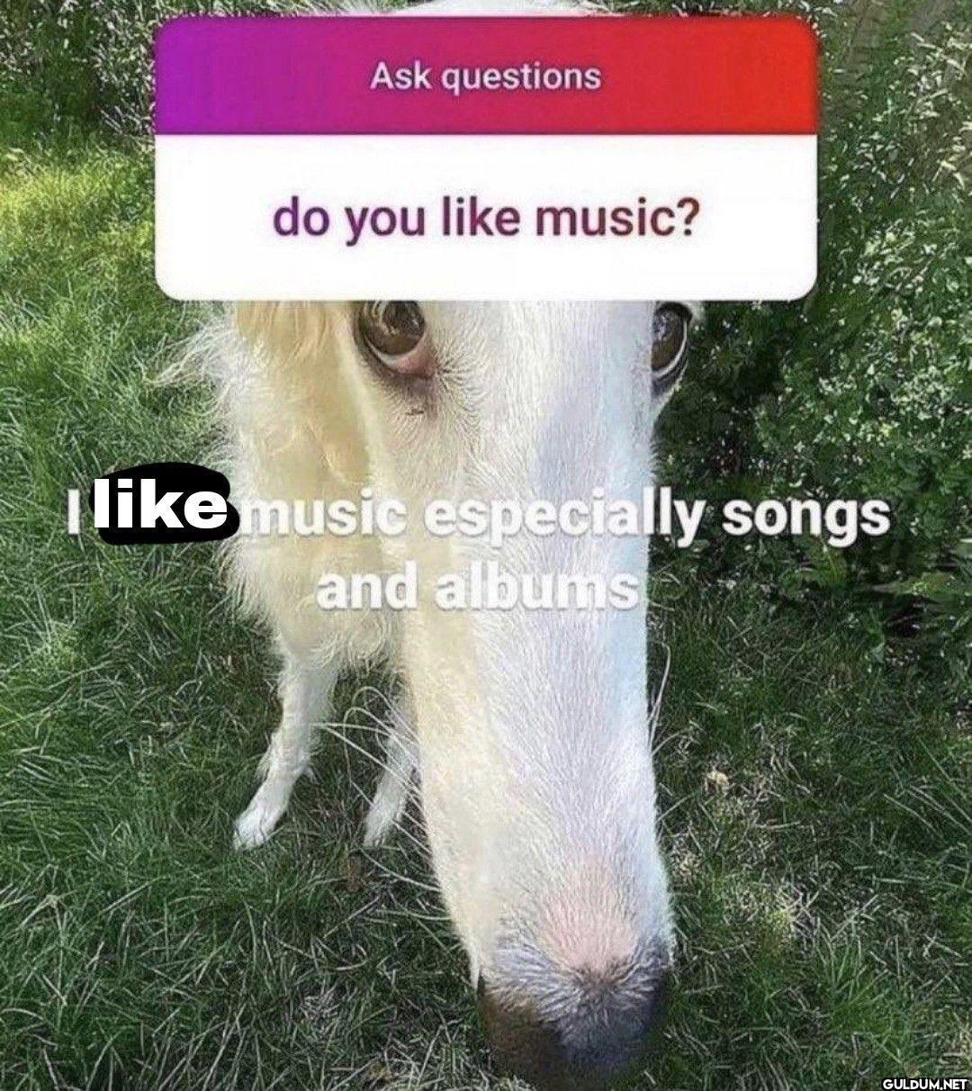 Ask questions do you...