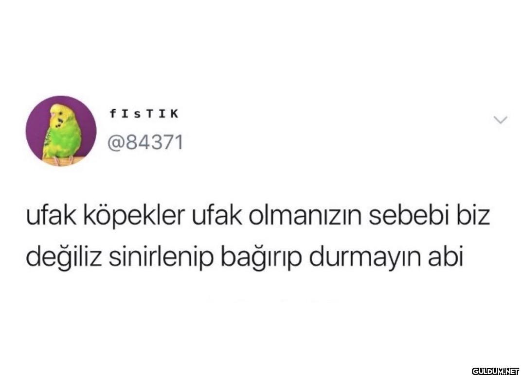 ufak köpekler ufak...