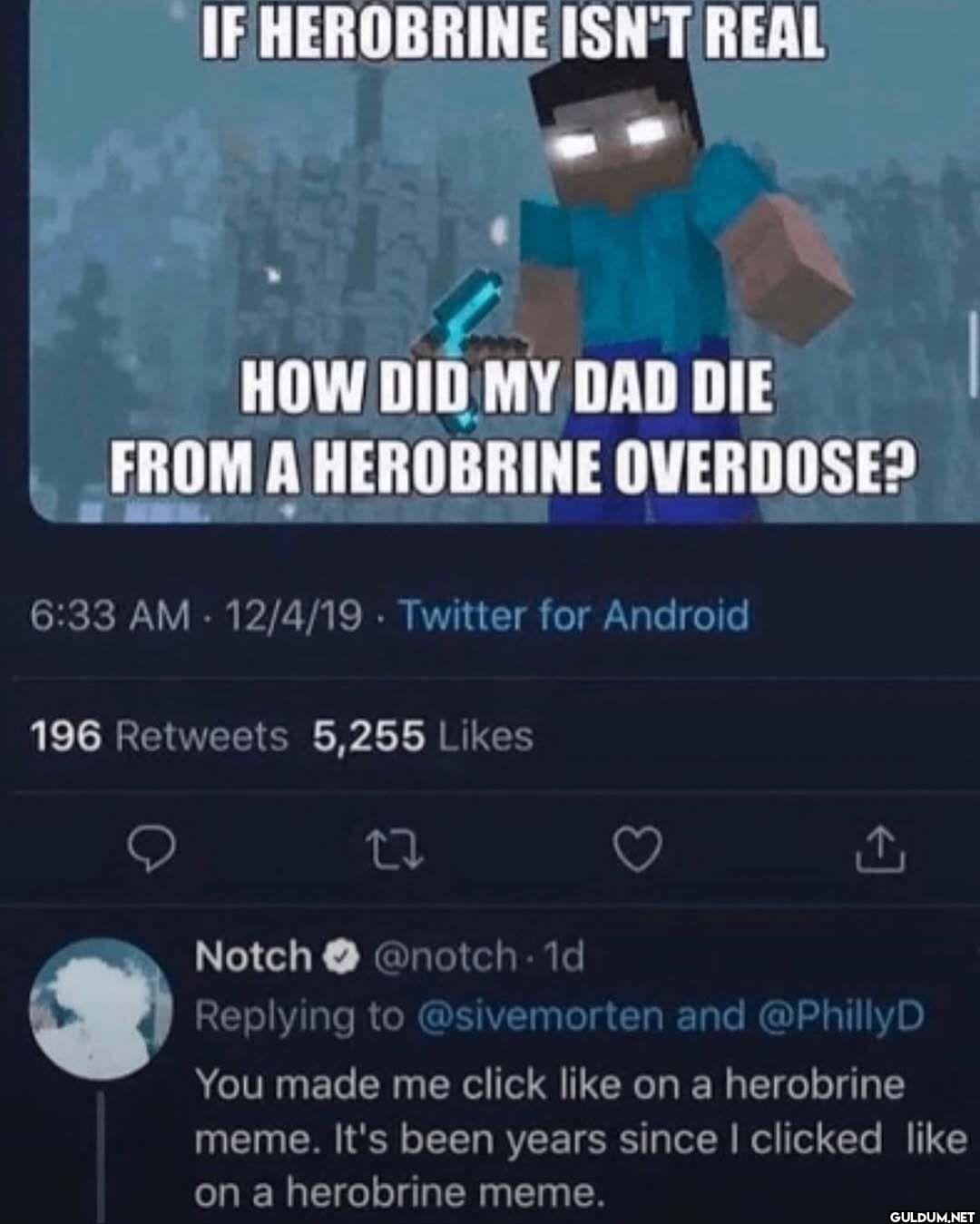 IF HEROBRINE ISN'T REAL...
