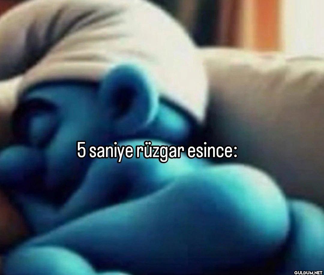 5 saniye rüzgar esince: