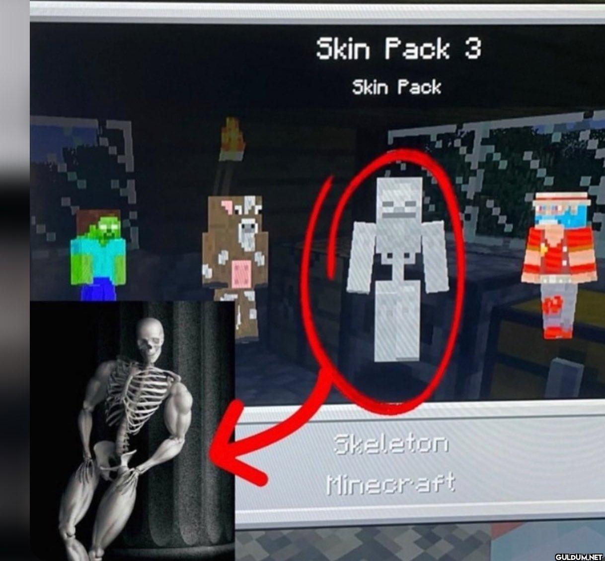 Skin Pack 3 Skin Pack...