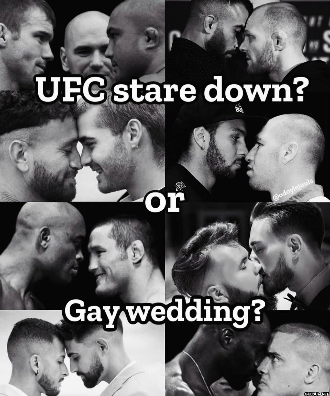 Gay wedding?