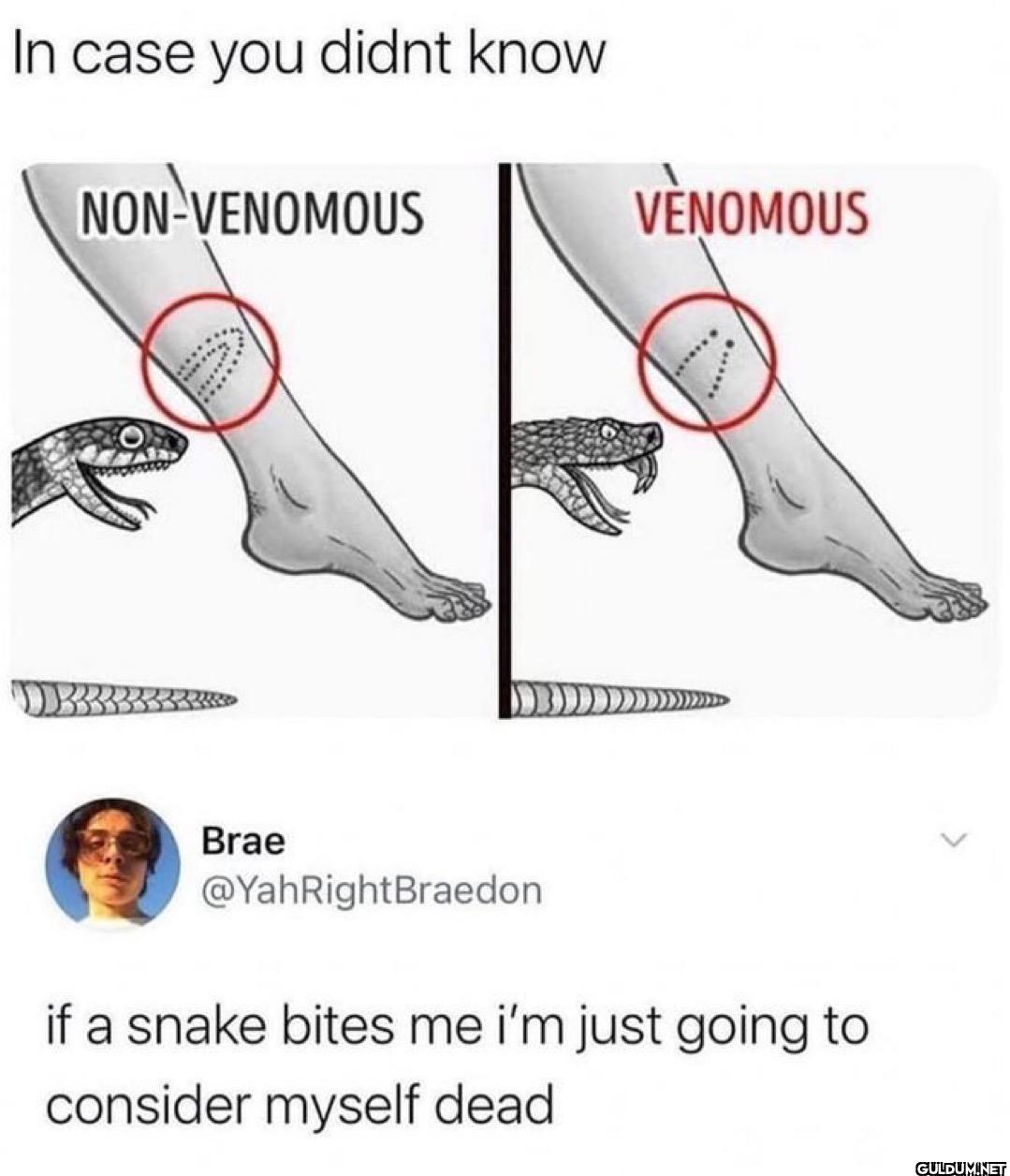 In case you didnt know...