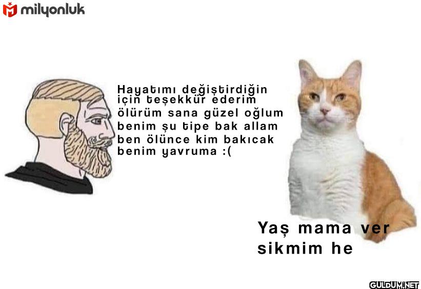 Mmilyonluk Hayatımı...