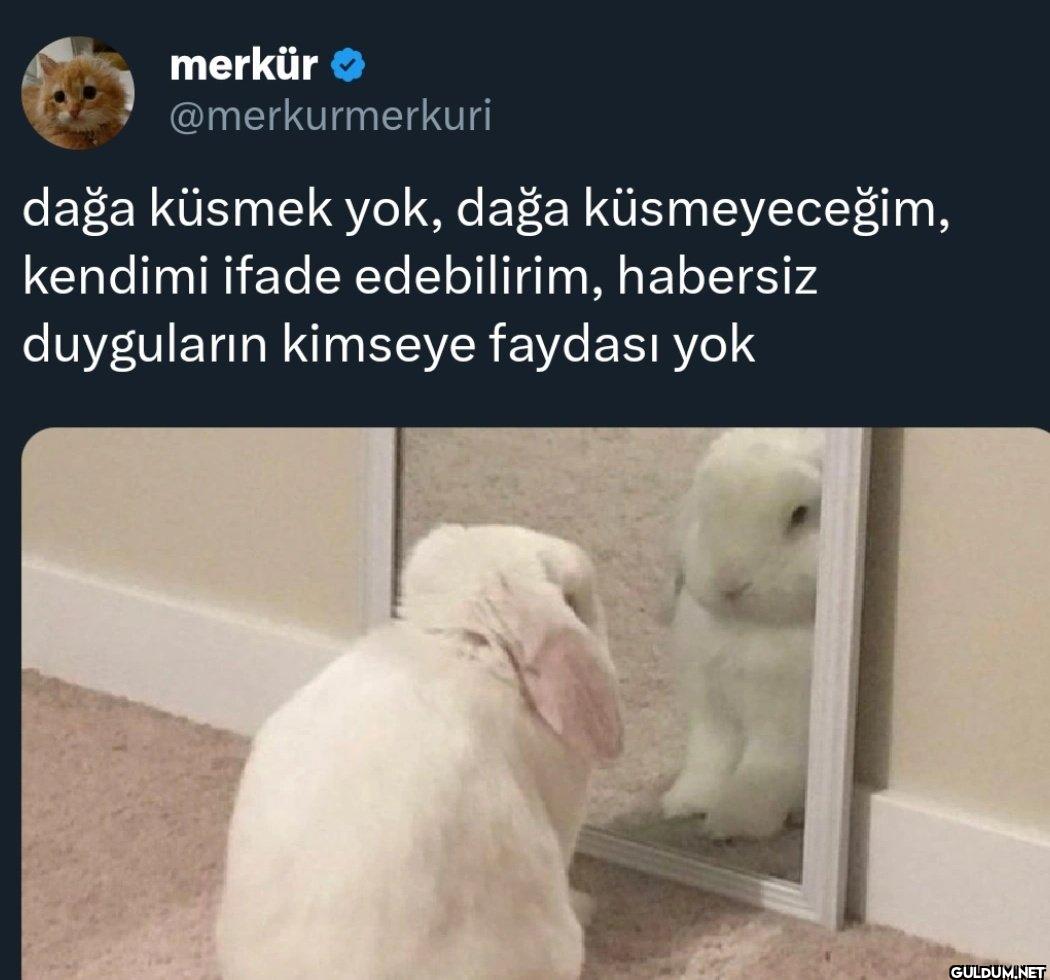 dağa küsmek yok, dağa...