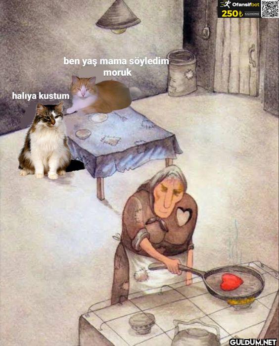 ben yaş mama söyledim...