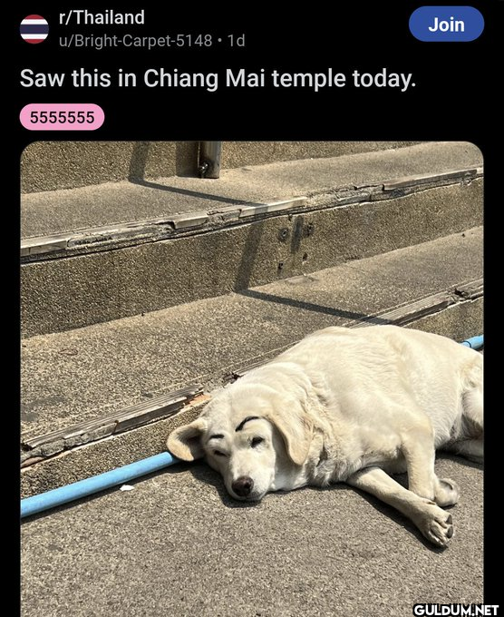 r/Thailand...
