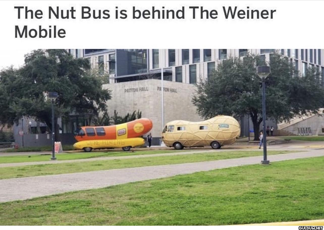 The Nut Bus is behind The...