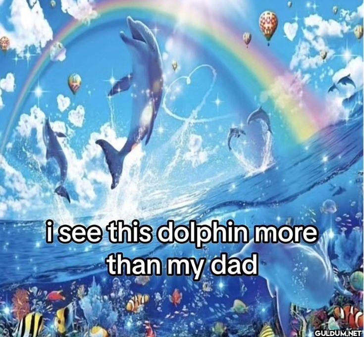 i see this dolphin more than my dad