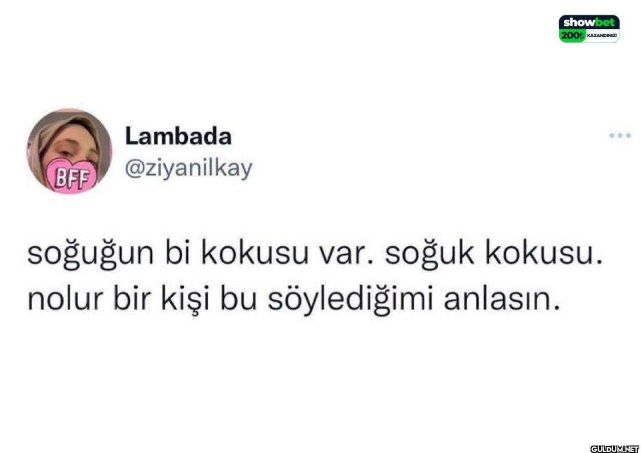 showbet 200 KAZANDINIZ!...