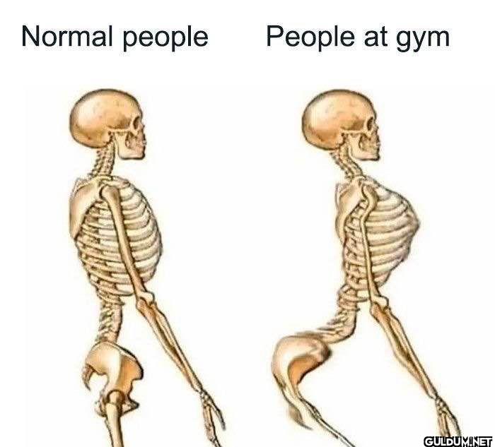 Normal people People at gym
