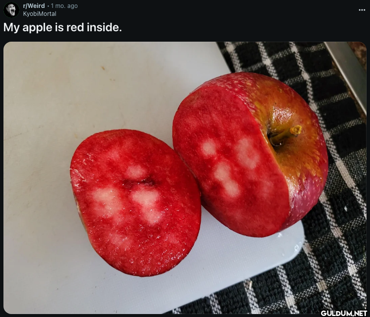 r/Weird • 1 mo. ago...
