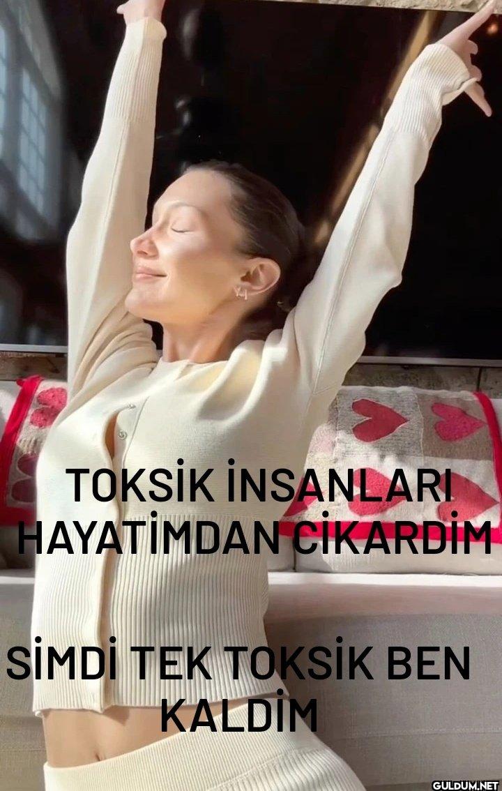 YA TOKSİK İNSANLARI...