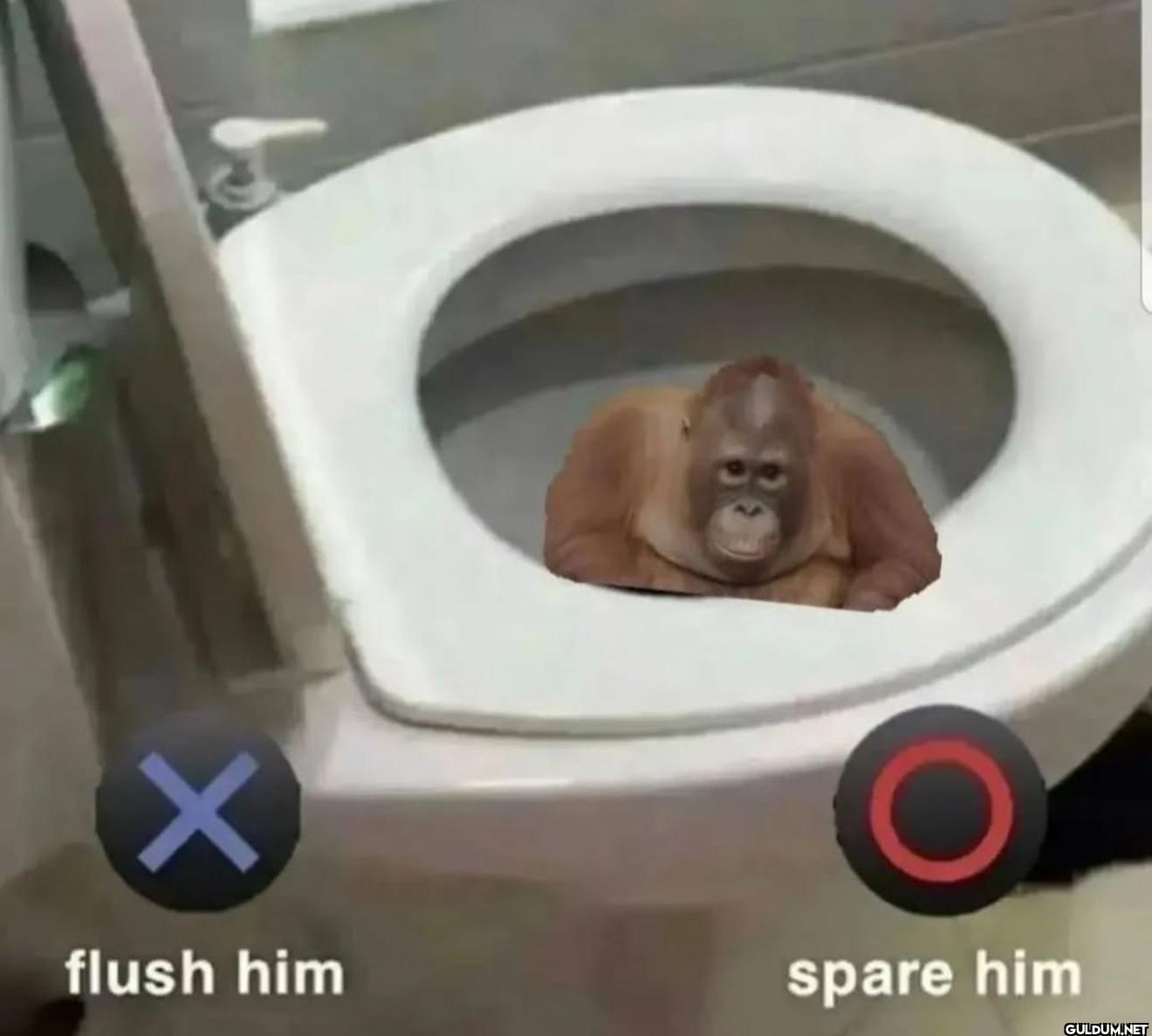 BO flush him spare him