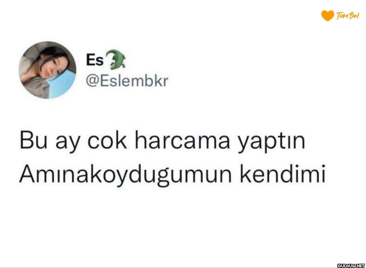 Bu ay cok harcama yaptın....