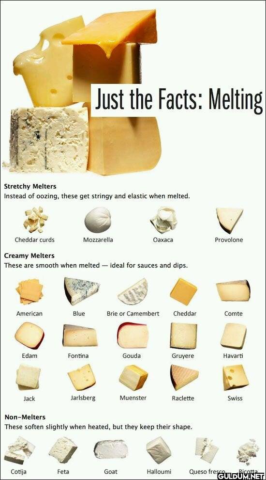 21. A cheese melting...